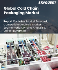 Global Cold Chain Packaging Market