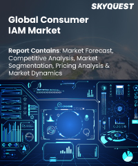 Global Consumer IAM Market