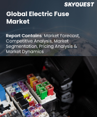 Global Magnetic Sensors Market