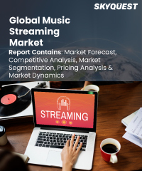 Video Streaming Software Market Size, Industry Share Forecast