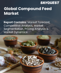 Global Savory Snacks Market