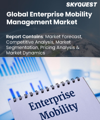 Global Enterprise Mobility Management Market