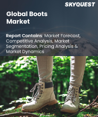 Global Boots Market