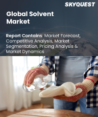 Global Solvent Market