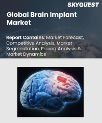 Global Keystroke Dynamics Market