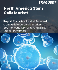 Radiation Therapy Market