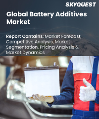 Global Battery Additives Market