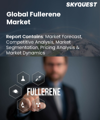 Global Fullerene Market