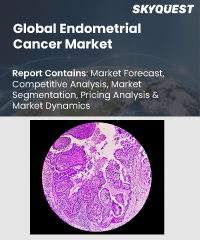 Global Endometrial Cancer Market
