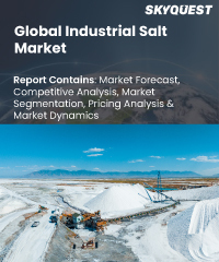 Global Industrial Salt Market