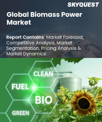 Renewable Power Generation Market