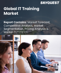 Global IT Training Market