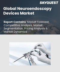 Global Neuroendoscopy Devices Market