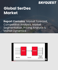 Global SerDes Market