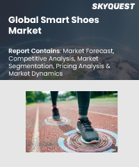 Global Smart Shoes Market