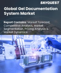 Global Gel Documentation System Market