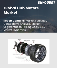 Global Hub Motor Market