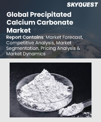 Global Precipitated Calcium Carbonate Market