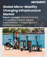 Global Micro-mobility Charging Infrastructure Market