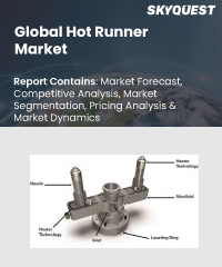 Global Hot Runner Market