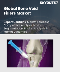 Global Bone Void Fillers Market