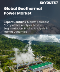 Global Geothermal Power Market