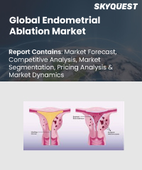 Global Endometrial Ablation Market