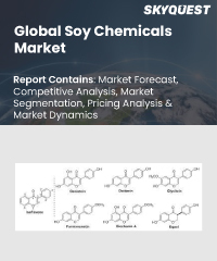 Dimethyl Carbonate Market