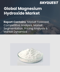 Global Magnesium Hydroxide Market