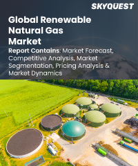 Renewable Power Generation Market