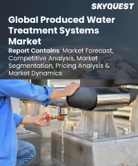 Global Water Meter Market