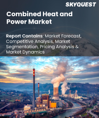 Combined Heat and Power Market