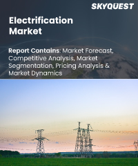 Electrification Market