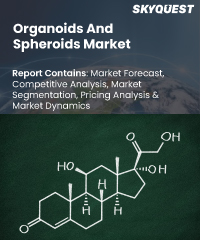 Organoids And Spheroids Market