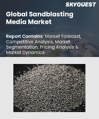 Global Sandblasting Media Market