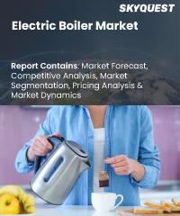 Electric Boiler Market