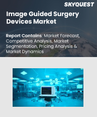 Image Guided Surgery Devices Market