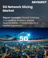 5G Network Slicing Market