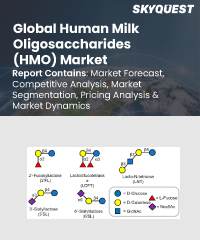 Global Human Milk Oligosaccharides (HMO) Market