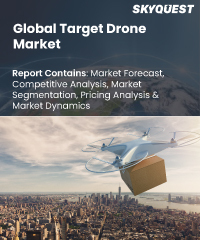 Aeroderivative Sensor Market