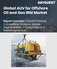 global AUV for offshore oil and gas IRM market