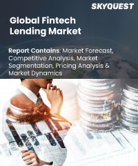 Global Fintech Lending Market Size & Share | Industry Report, 2030