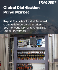 Global E-Fuel Market