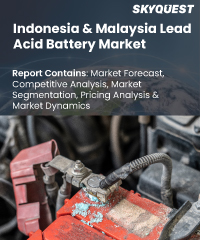 Indonesia & Malaysia Lead Acid Battery Market