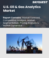 U.S. Oil & Gas Analytics Market