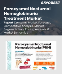 Paroxysmal Nocturnal Hemoglobinuria Treatment Market