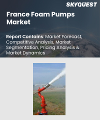 France Foam Pumps Market