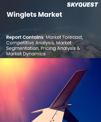 Winglets Market