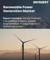 Renewable Power Generation Market