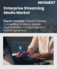 Enterprise Streaming Media Market